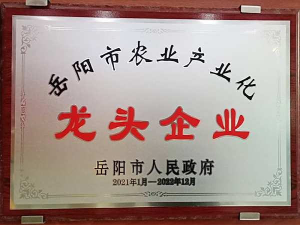 榮譽資質(zhì)